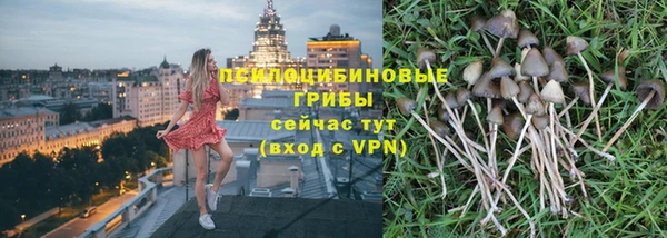 прущие крисы Армянск