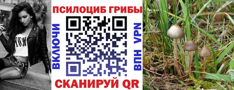 ОМГ ОМГ ССЫЛКА  магазин продажи   Лыткарино  это клад  Галлюциногенные грибы мухоморы 